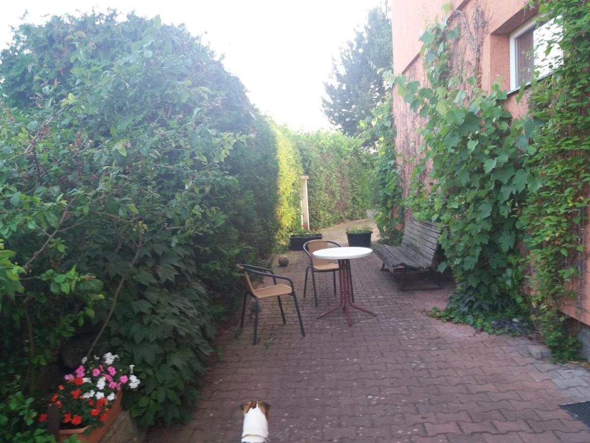 Apartman Na Skale Kostelec nad Orlicí المظهر الخارجي الصورة